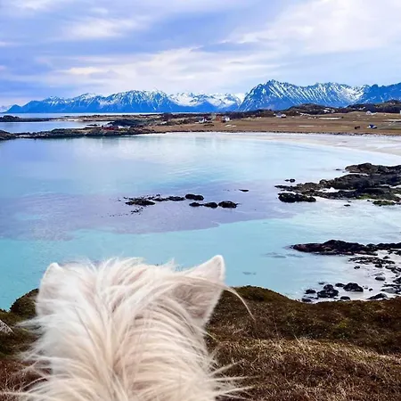 Lofoten Links Orman Evi Gimsoy