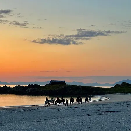 Lofoten Links Orman Evi