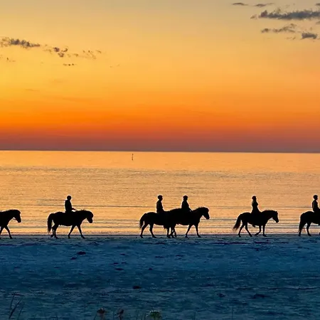 Lodge Lofoten Links Gimsoy