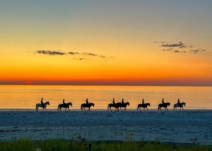 Jaktstuga Lofoten Links *