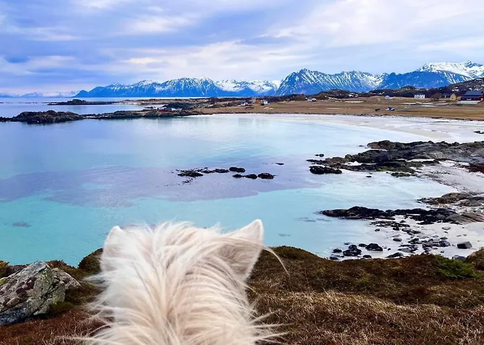 Lofoten Links Jaktstuga Gimsoy