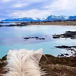 Lofoten Links 롯지 Gimsoy