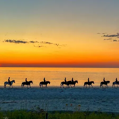 Lodge Lofoten Links *